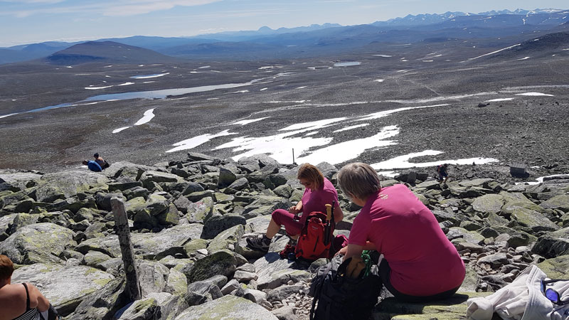 Rast med utsikt - Dovrefjell